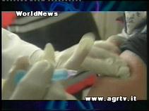 influenza aviaria vaccinazione