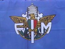 FIM
