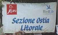 www.lipuostia.it