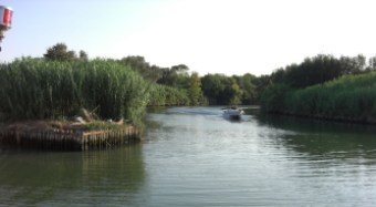 Tevere in secca
