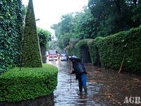 vigili del fuoco 