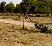 Parco della Garbatella - Alberi schiantati 