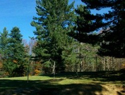 parchi