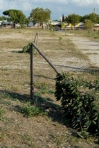 Parco della Garbatella - Vandali